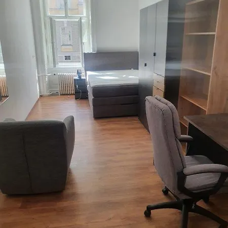 Große Stadtwohnung Im Zentrum Apartment Krems an der Donau