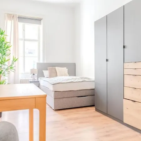 Grosse Stadtwohnung Im Zentrum Krems an der Donau