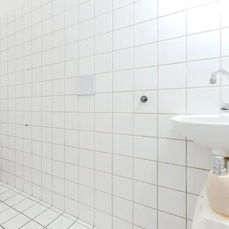 Grosse Stadtwohnung Im Zentrum *