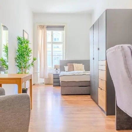 Apartment Grosse Stadtwohnung Im Zentrum Krems an der Donau