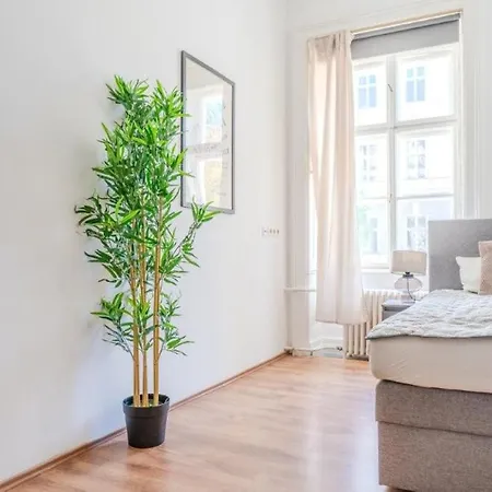 Apartment Grosse Stadtwohnung Im Zentrum Krems an der Donau